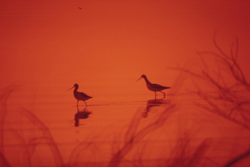 Fitness and Healthy&nbsp;Living